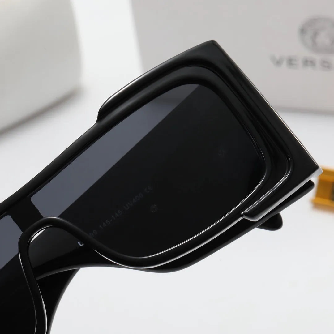 VE Letter Temple Sunglasses N11373