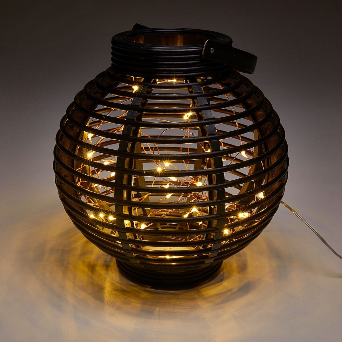 Warm White Copper Wire Lights with Remote U297