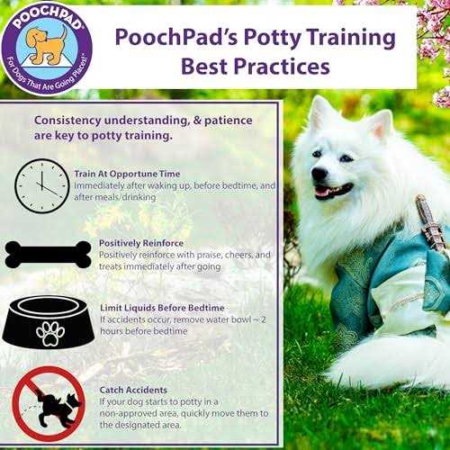 Potty Training Attractant G3571