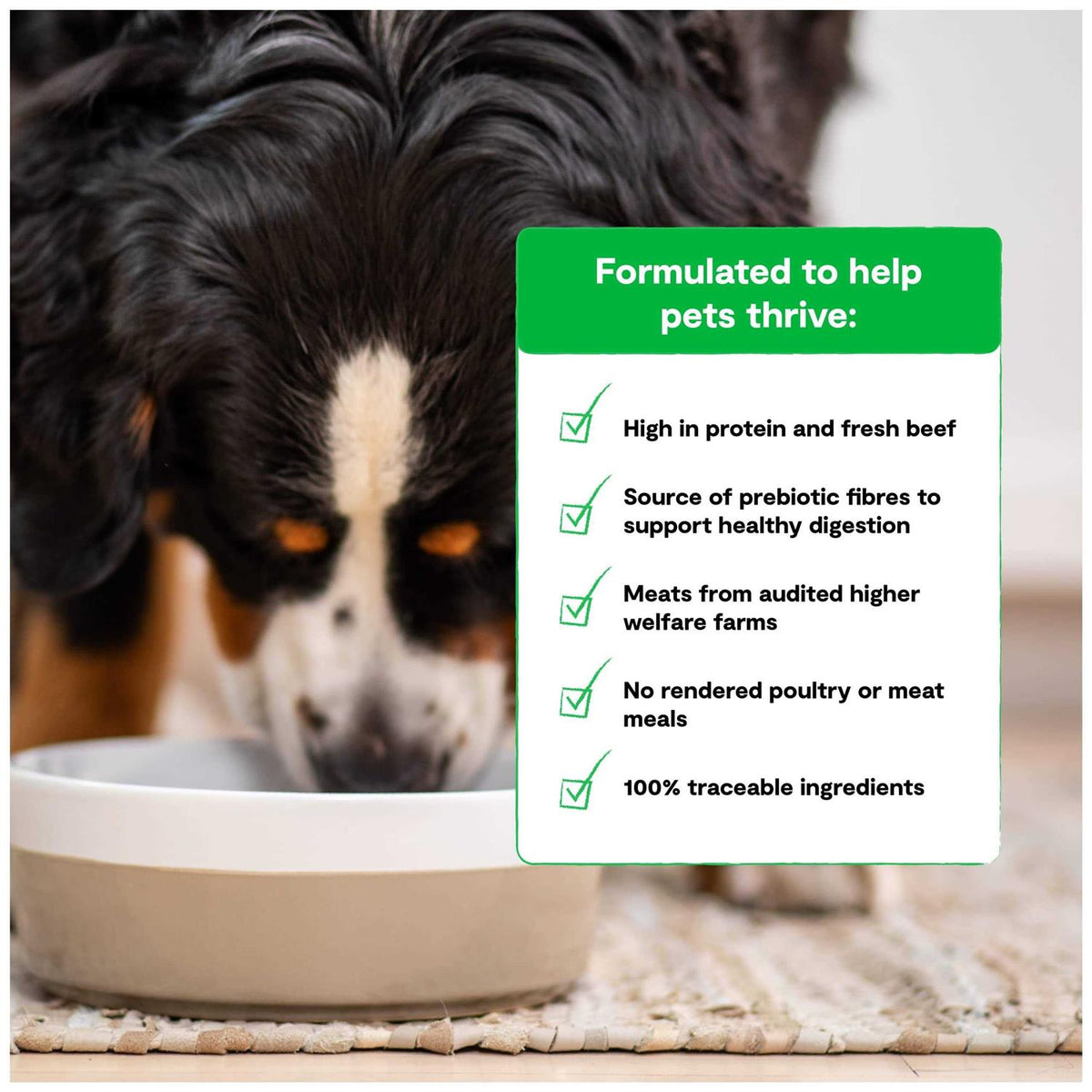 Grass Fed Beef Grain Free Dry Dog Food K78011