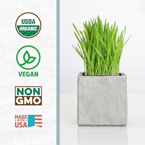 100% Organic 5-Part Salad Seeds 1 Pound Non-GMO H2193