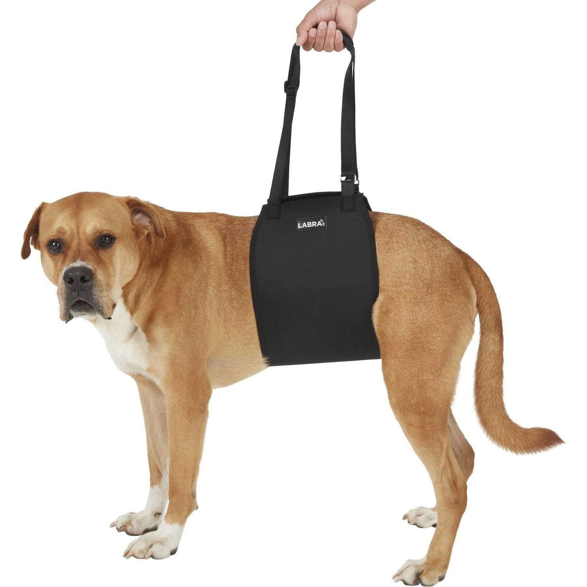 Veterinarian Approved Dog Sling Lift Adjustable Support Harness T17773