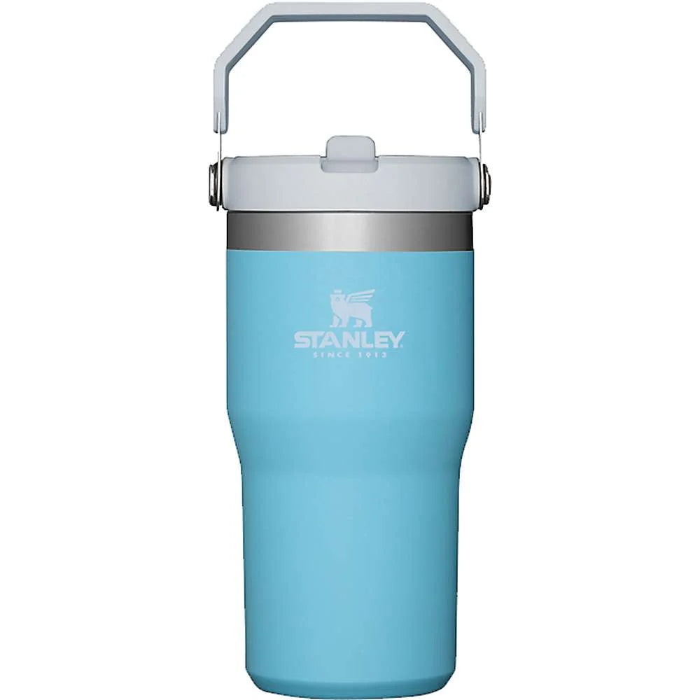 20oz Flip Straw Tumbler Y2363
