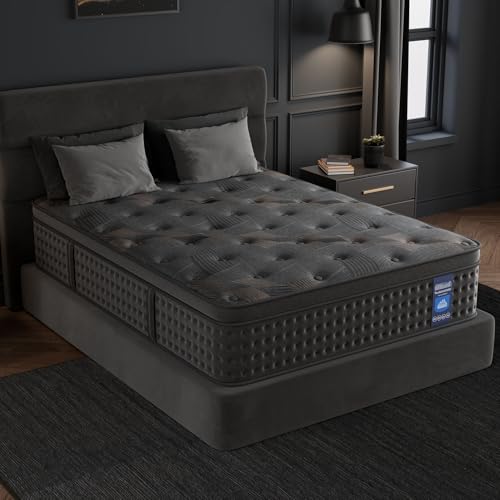 10 Inch Hybrid Queen Mattress with Memory Foam & Pocket Spring P21696