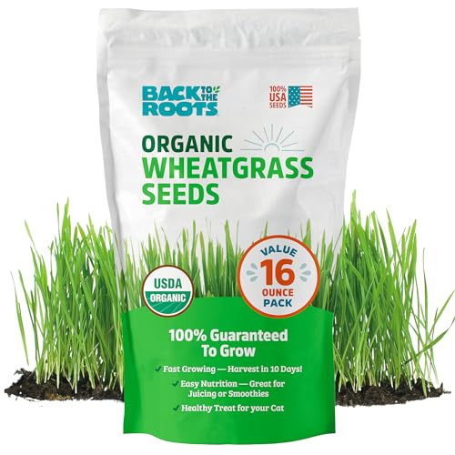 100% Organic 5-Part Salad Seeds 1 Pound Non-GMO H2193