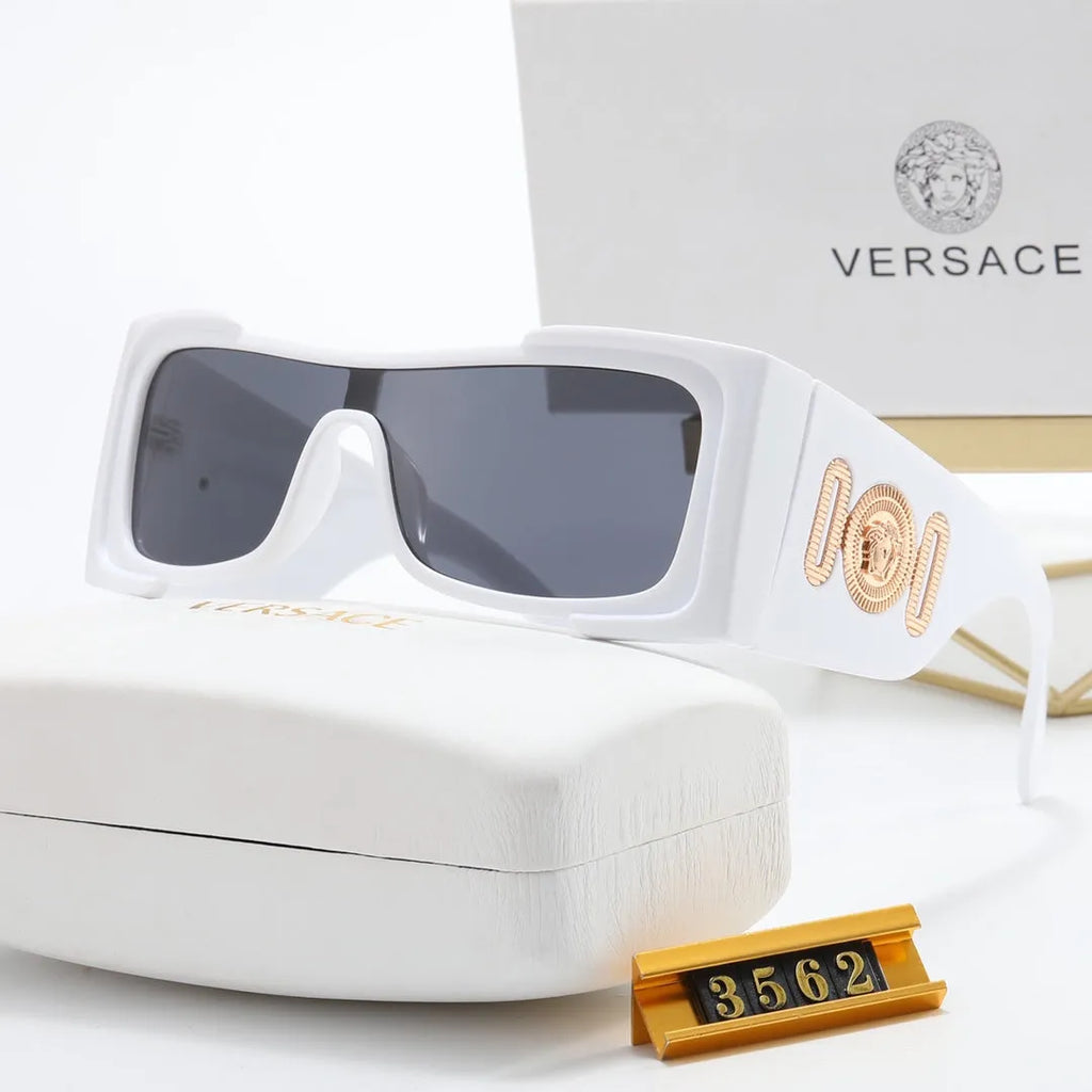 VE Letter Temple Sunglasses N11373