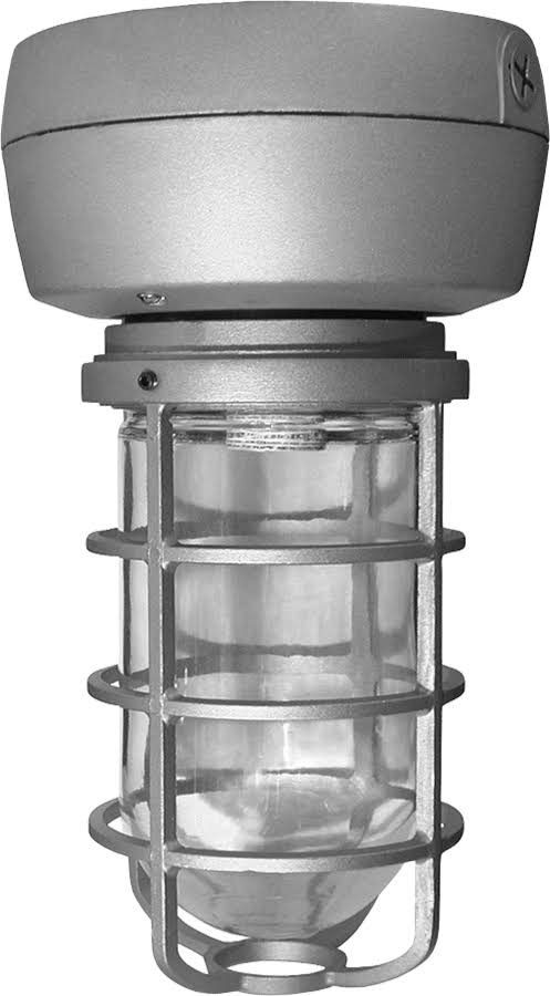 50W Metal Halide Ceiling Light Black with Glass Globe S870897