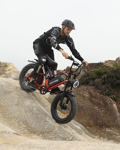 20" Fat Tire 48V 25Ah 7-Speed Electric Bike M4026