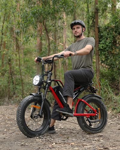 20" Fat Tire 48V 25Ah 7-Speed Electric Bike M4026