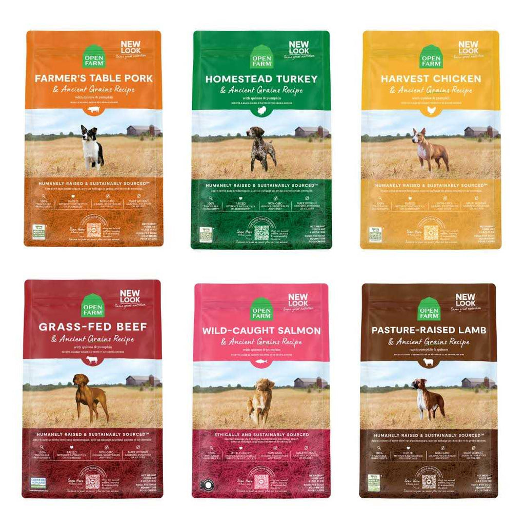 Whitefish & Ancient Grains Dry Dog Food G3654