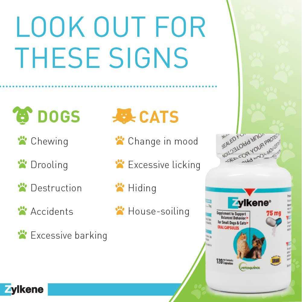 Pet Supplies I345011