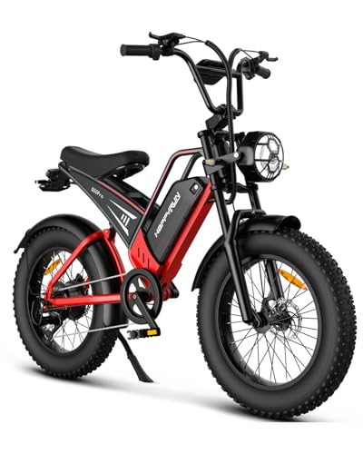20" Fat Tire 48V 25Ah 7-Speed Electric Bike M4026