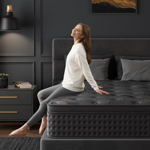 10 Inch Hybrid Queen Mattress with Memory Foam & Pocket Spring P21696