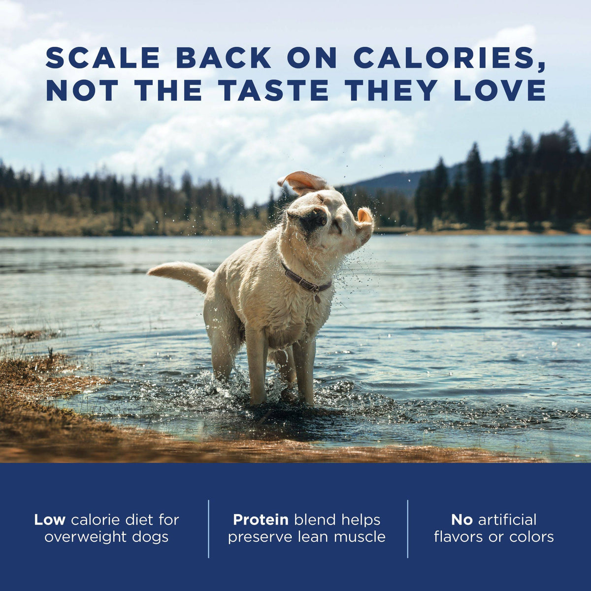 28 lb Chicken Meal Salmon Meal Barley Formula Dog Food K804