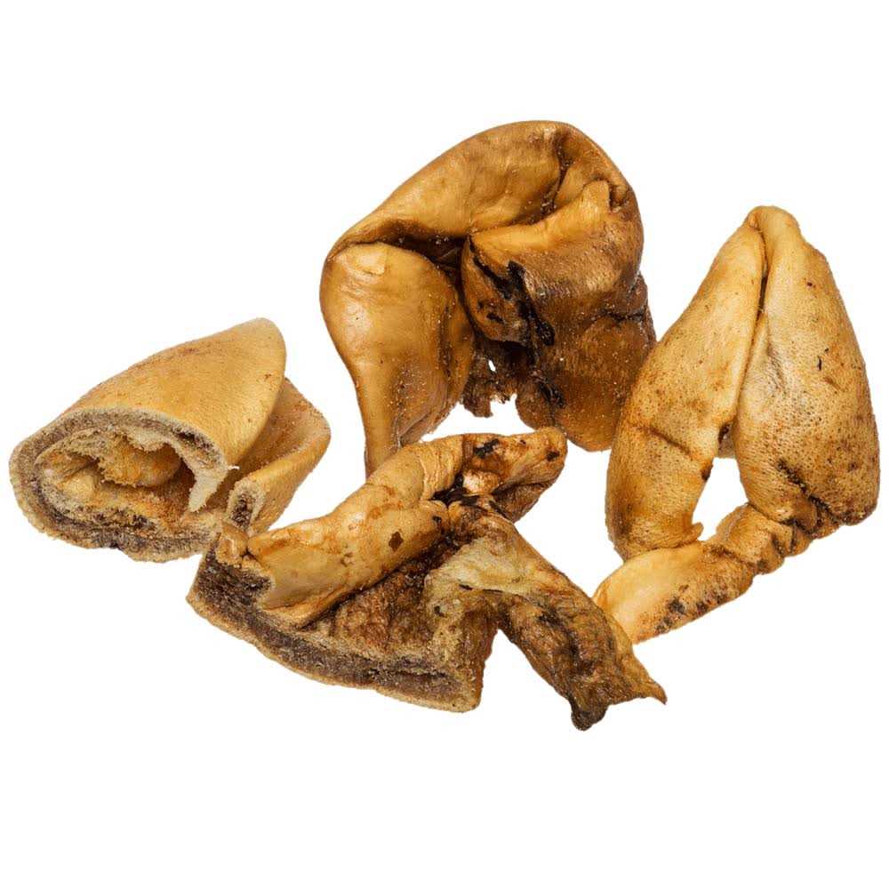 Dog Treats V5257