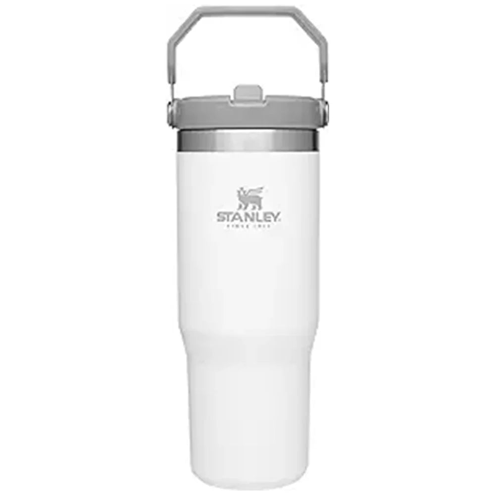 20oz Flip Straw Tumbler Y2363