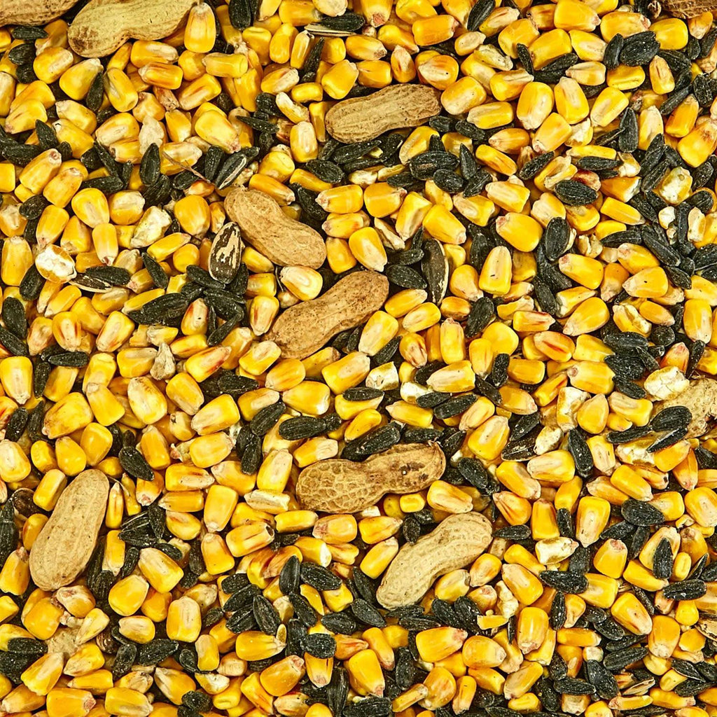 Squirrel Food J72040