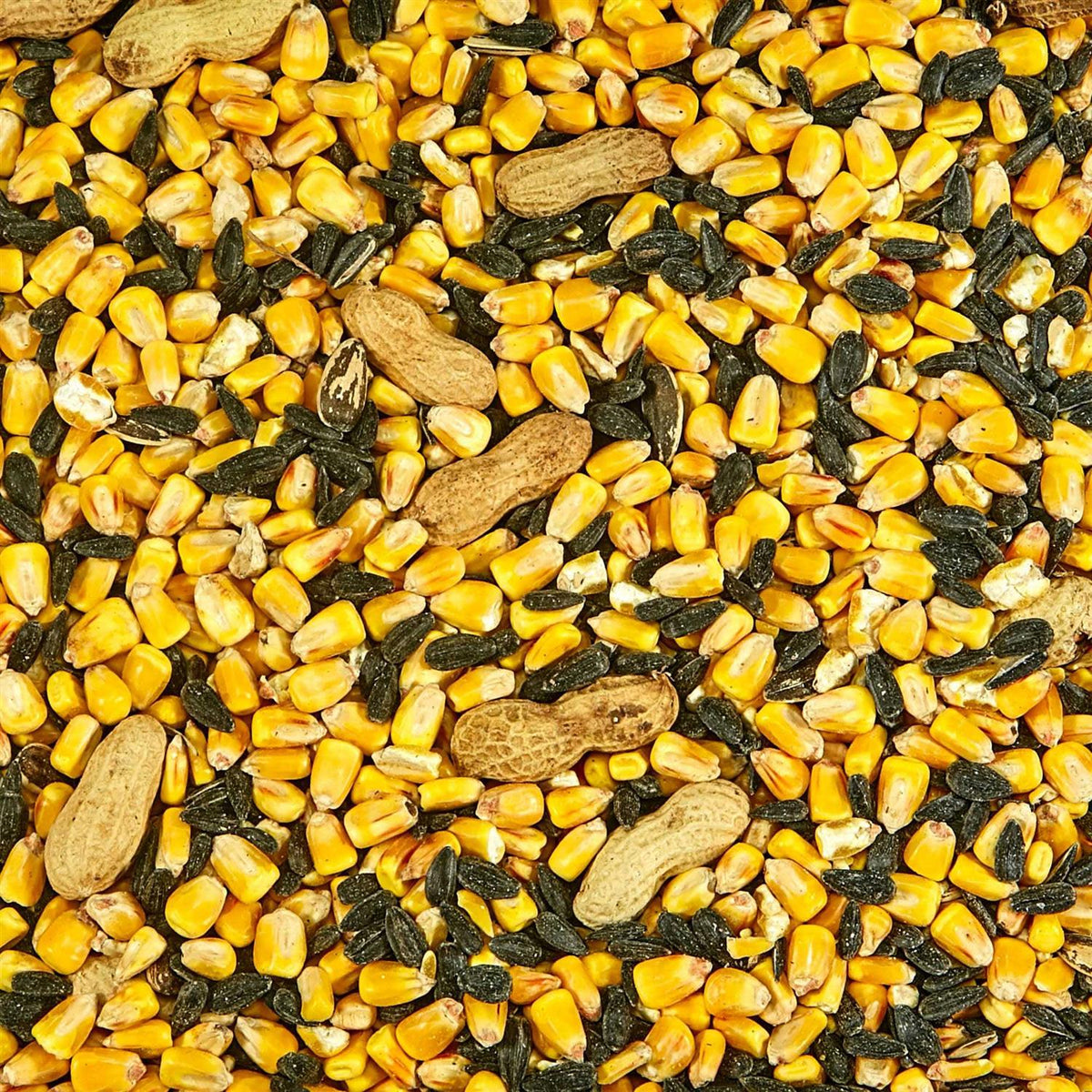 Squirrel Food J72040