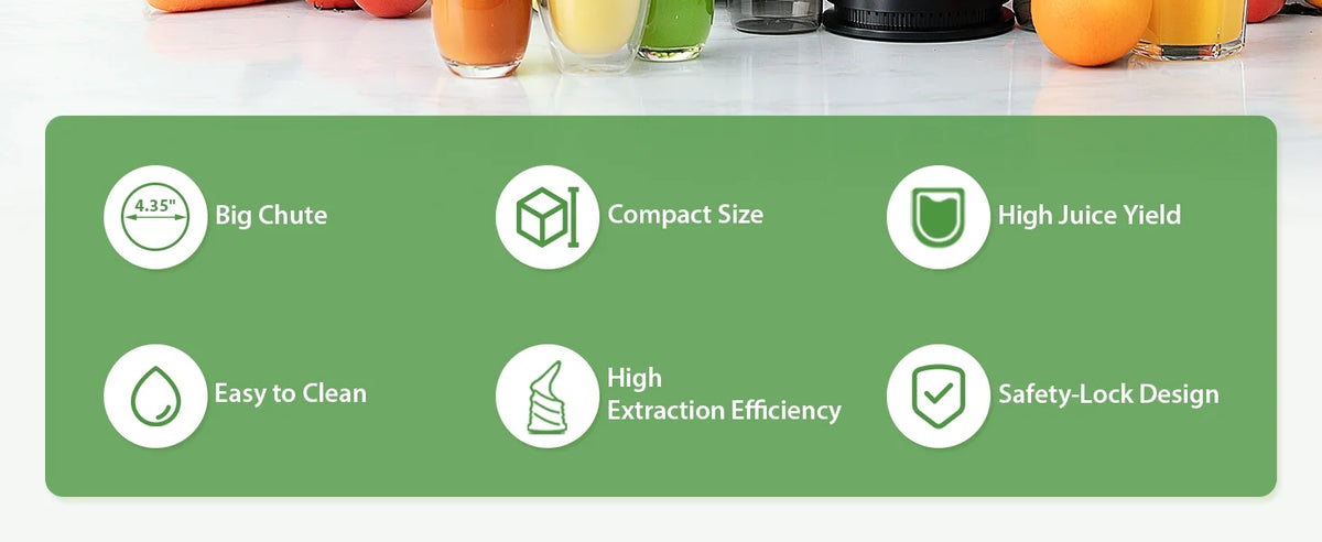 Cold Press Juicer B998