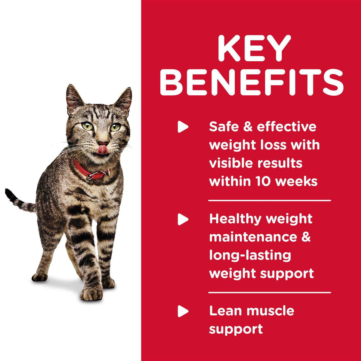 Adult Perfect Weight Cat Food W238