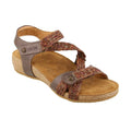 Dark Brown Multi Shoes Z2275