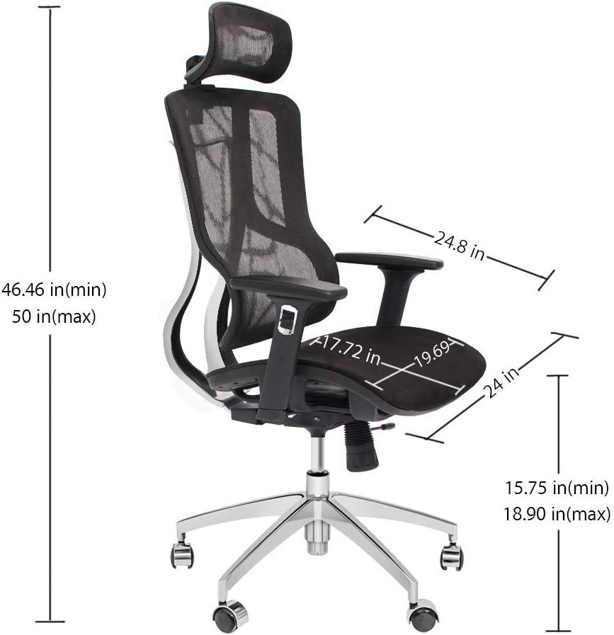 Black Ergonomic Mesh High Back Office Chair with Adjustable Headrest and Armrest I11808