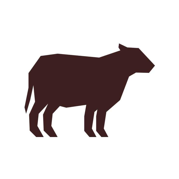 Freeze Dried Beef Dog Food B984542