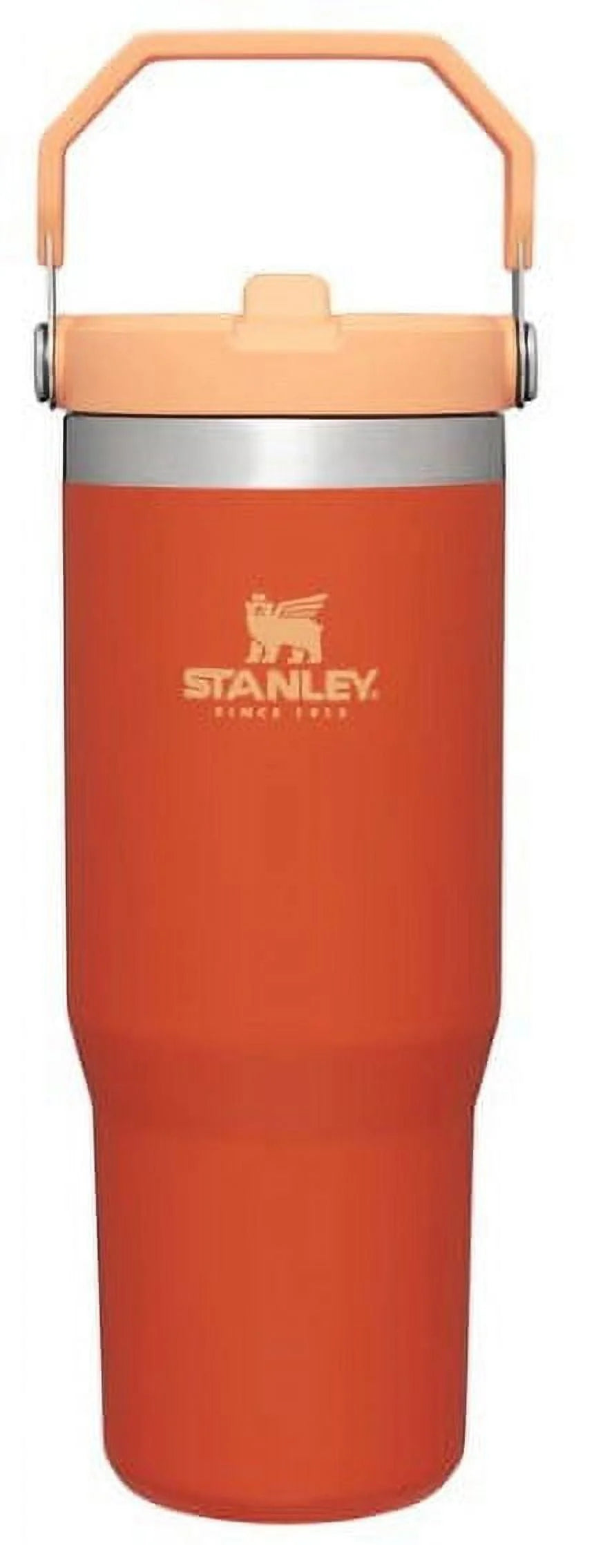 20oz Flip Straw Tumbler Y2363
