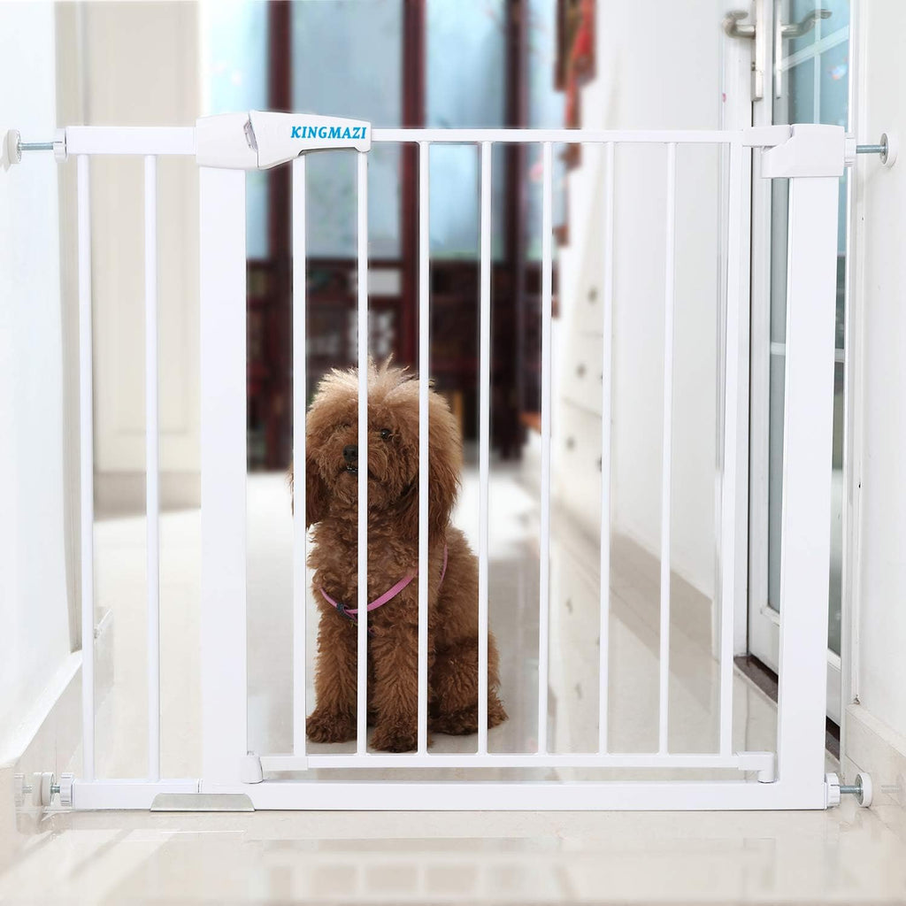 Safety Gate, 29.5-40.5 inch Auto Close, Extra Tall & Wide Heavy-Duty Walk-Thru Pet Gate, Pack of 2 U930662