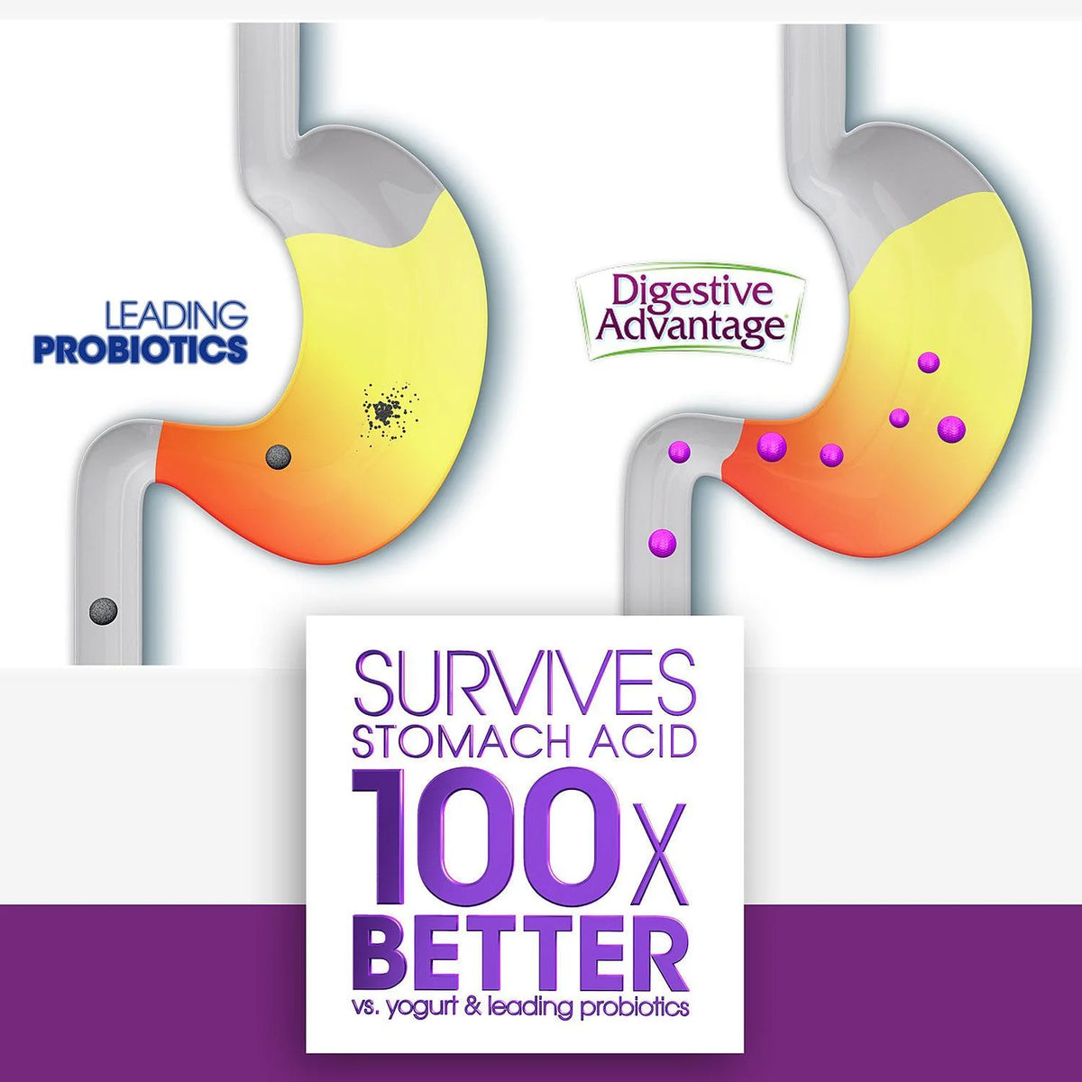 Daily Probiotics 120 Gummies T323849