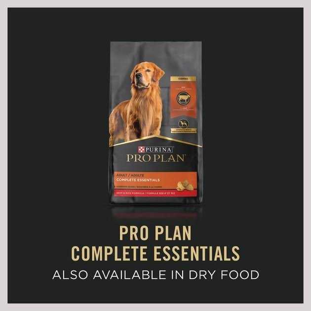 Beef Entree Wet Dog Food T190820