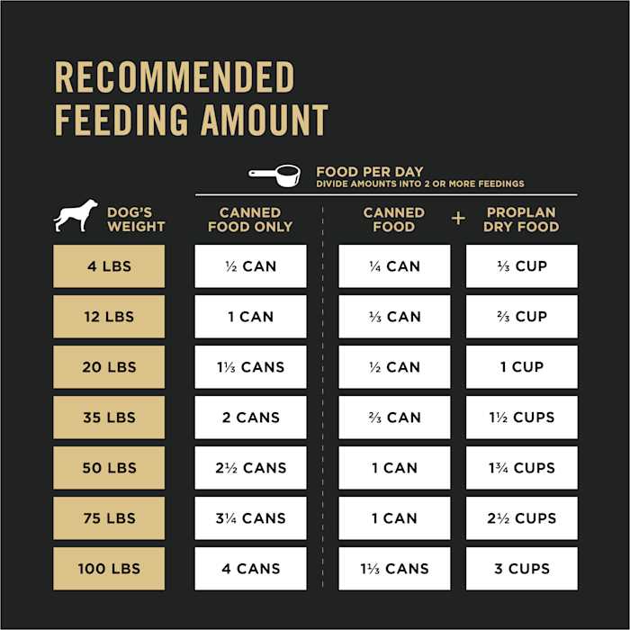 Beef Entree Wet Dog Food T190820