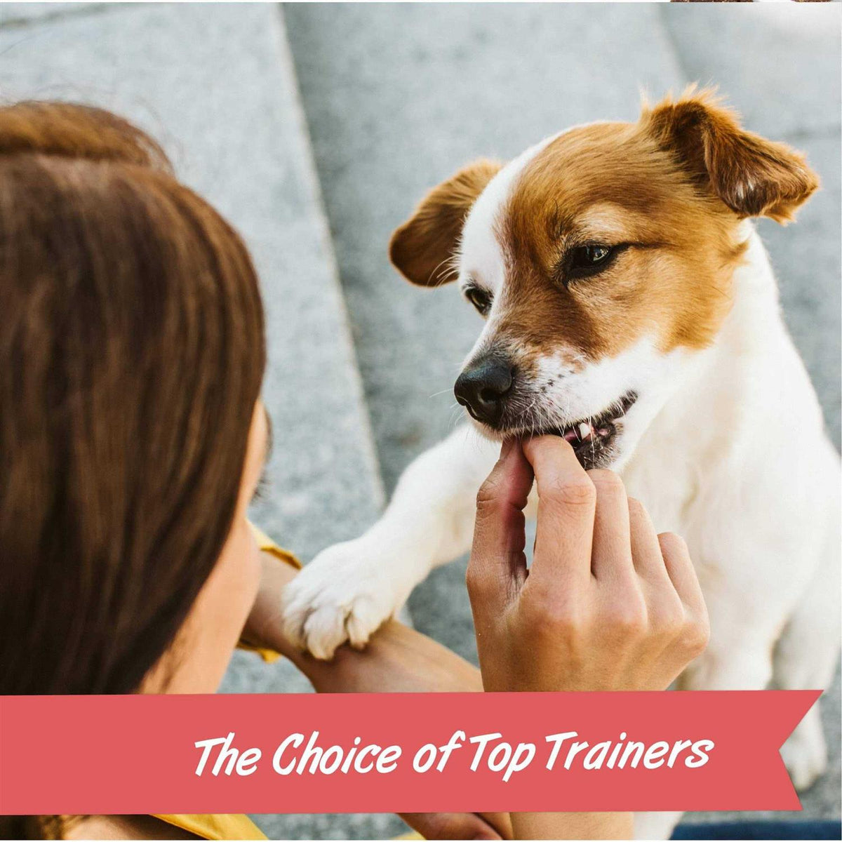 Training Rewards Dog Treats X501