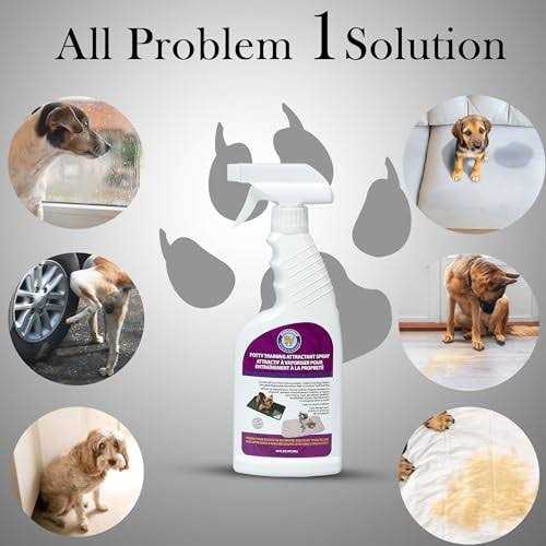 Potty Training Attractant G3571
