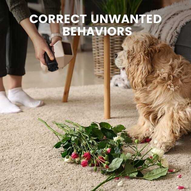 Ultrasonic Dog Bark Deterrent P443015