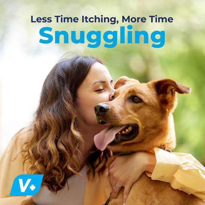 Seasonal Allergy & Immune Soft Chews for Dogs C67996