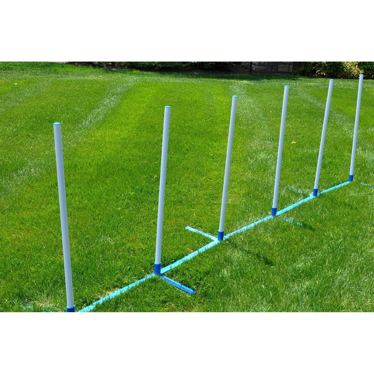 Adjustable 6 Pole Set with Carrying Case and Grass Stakes S981