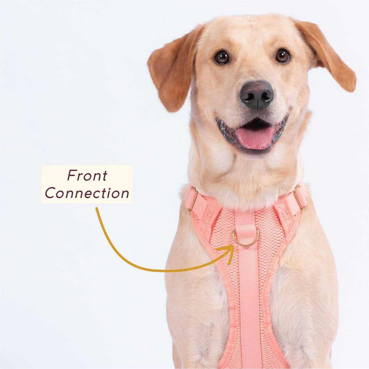 Huggie Harness G26986