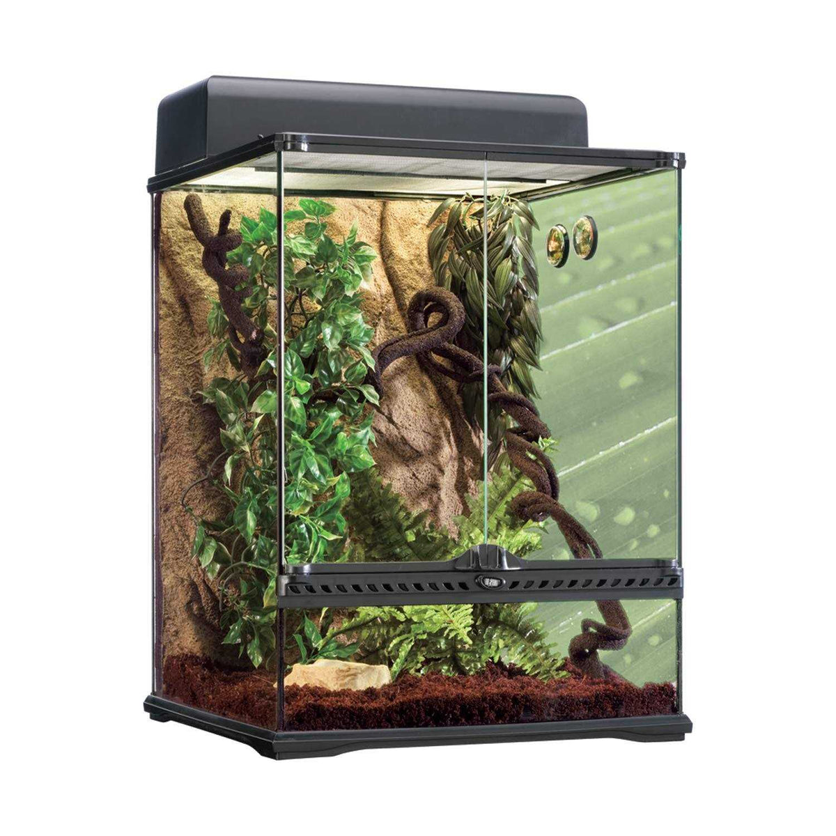 Rainforest Habitat Kit Q918832
