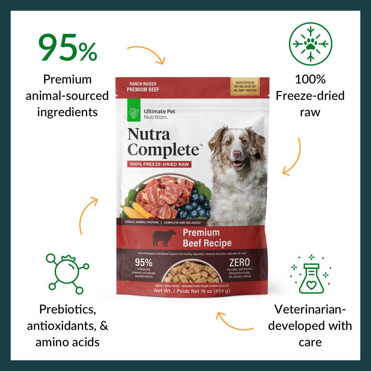 Freeze Dried Beef Dog Food B984542