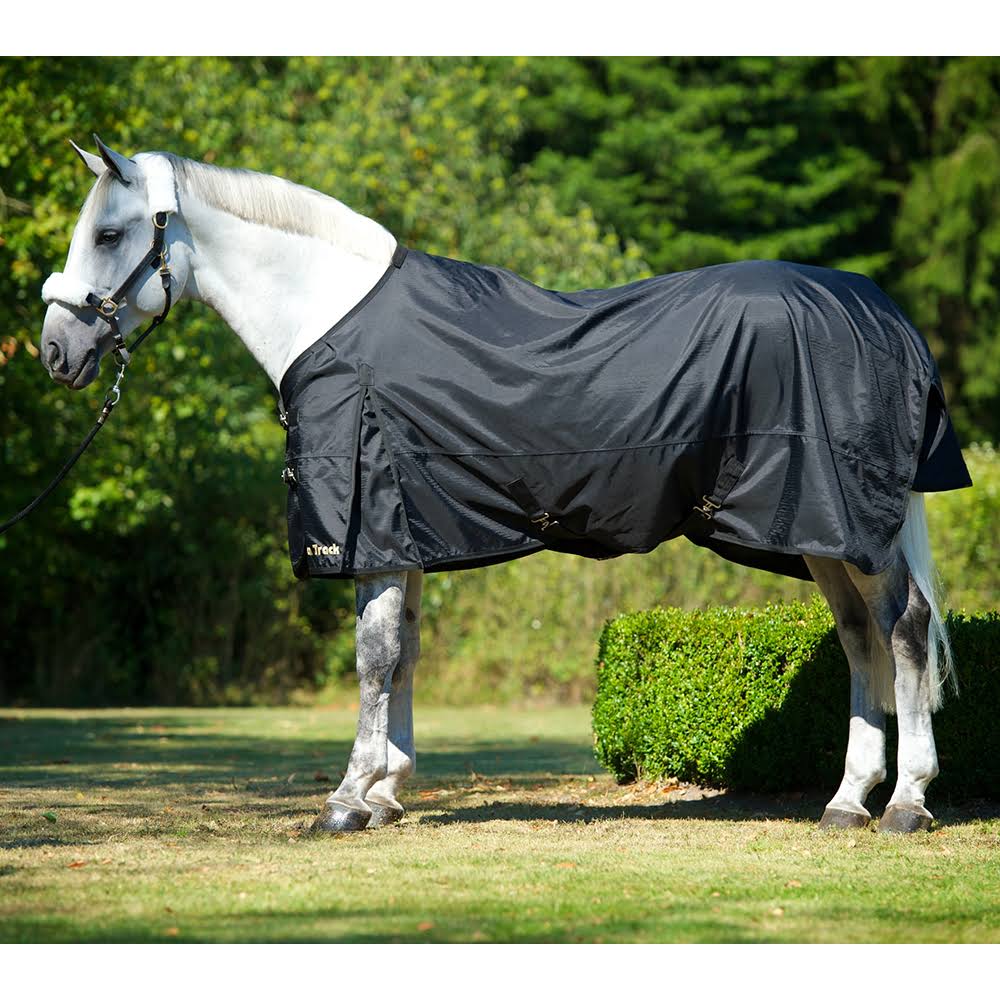 Therapeutic Turnout Sheet S1067