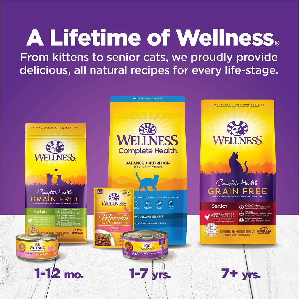 Kitten Canned Wet Cat Food G9686