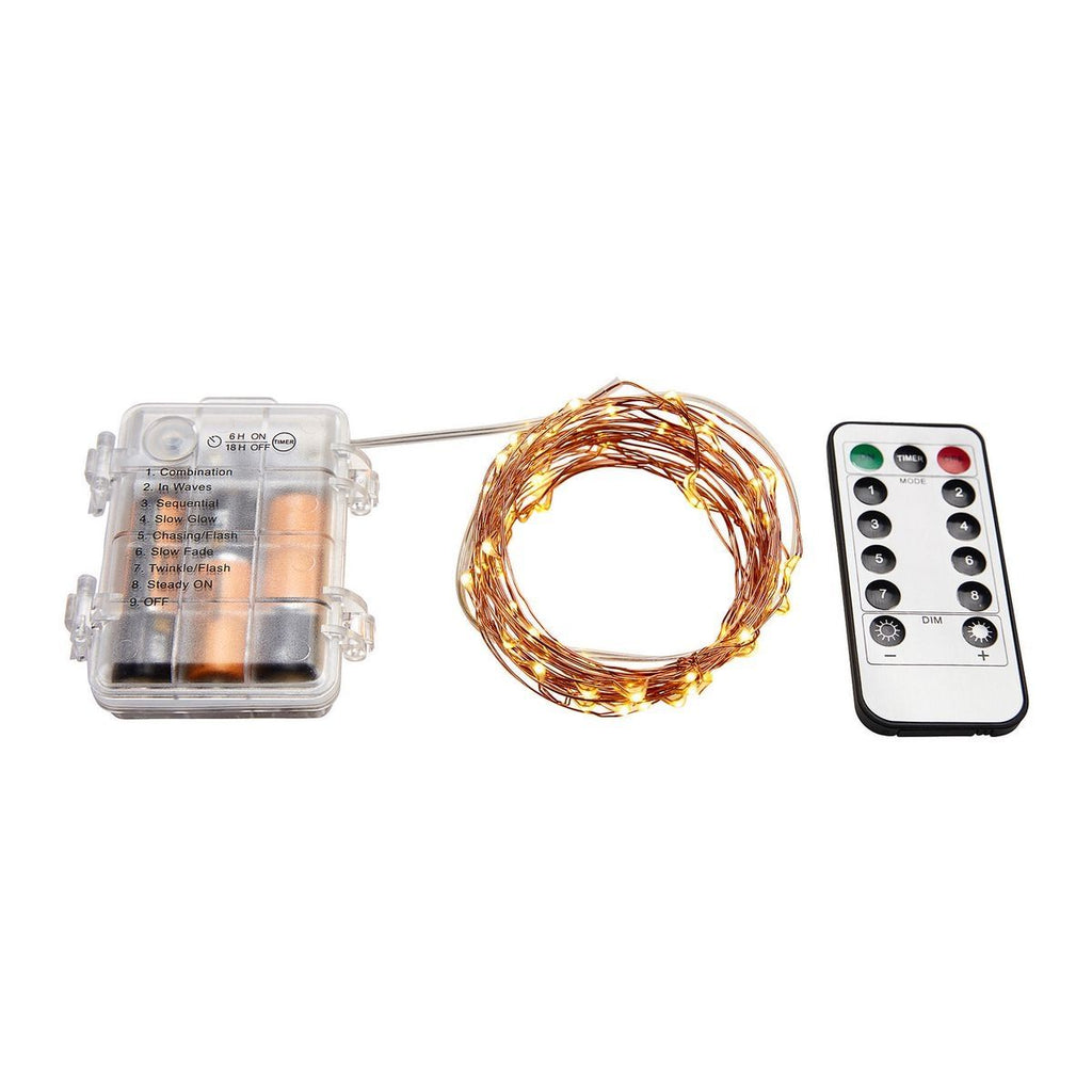 Warm White Copper Wire Lights with Remote U297