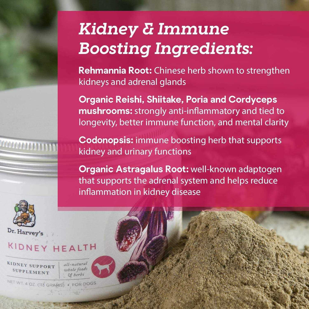 Kidney Health Supplement for Dogs E50641