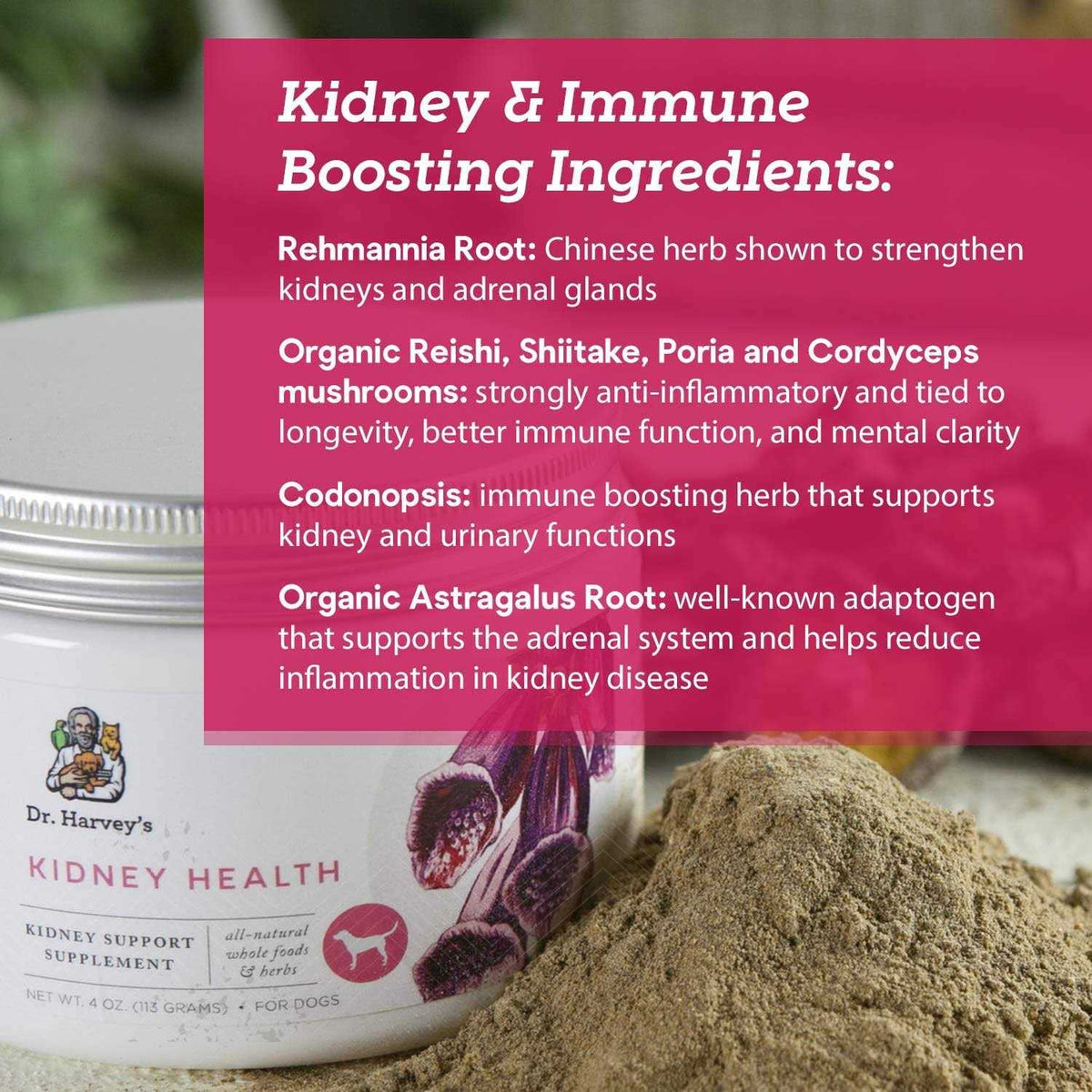 Kidney Health Supplement for Dogs E50641